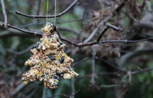 12. Birdseed Decorations