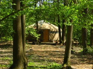 Forest Garden