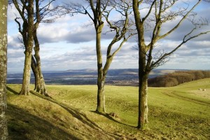 chanctonbury-ring-southdowns