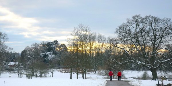 rsz_winter_walks_at_hatchlands