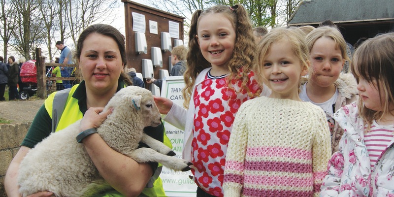 Lambing photo Merrist Wood