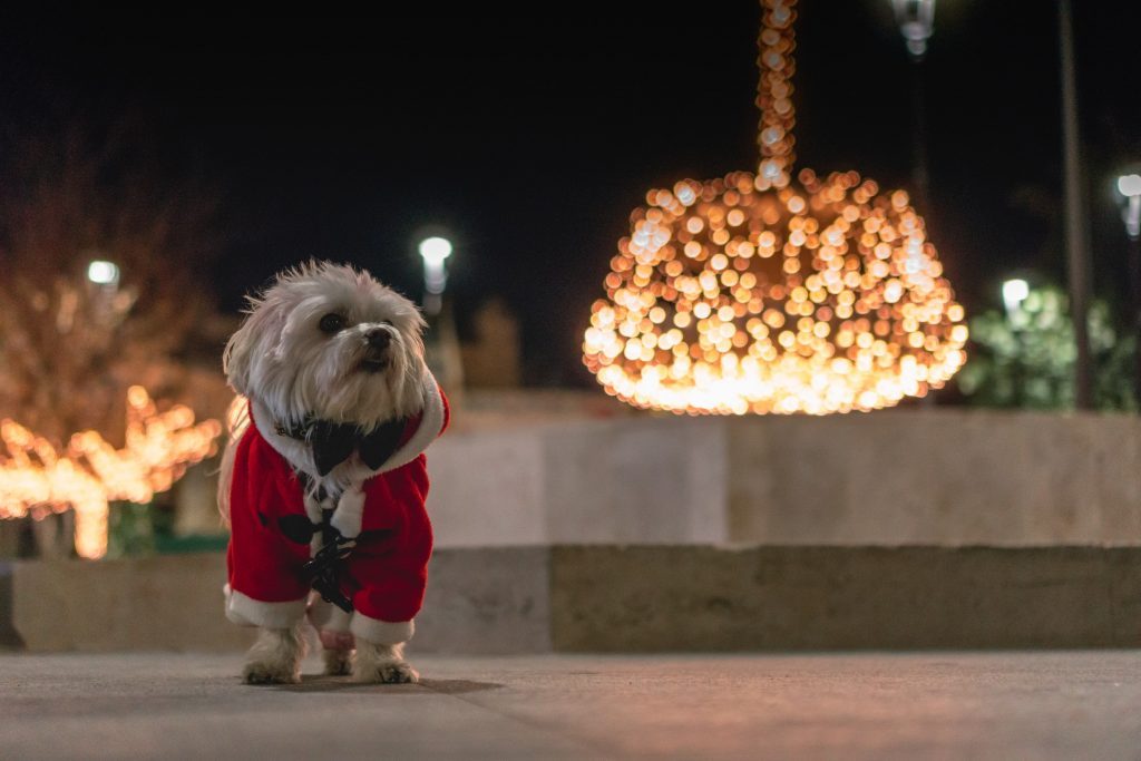 Our Top 10 Christmas Jumpers of 2021