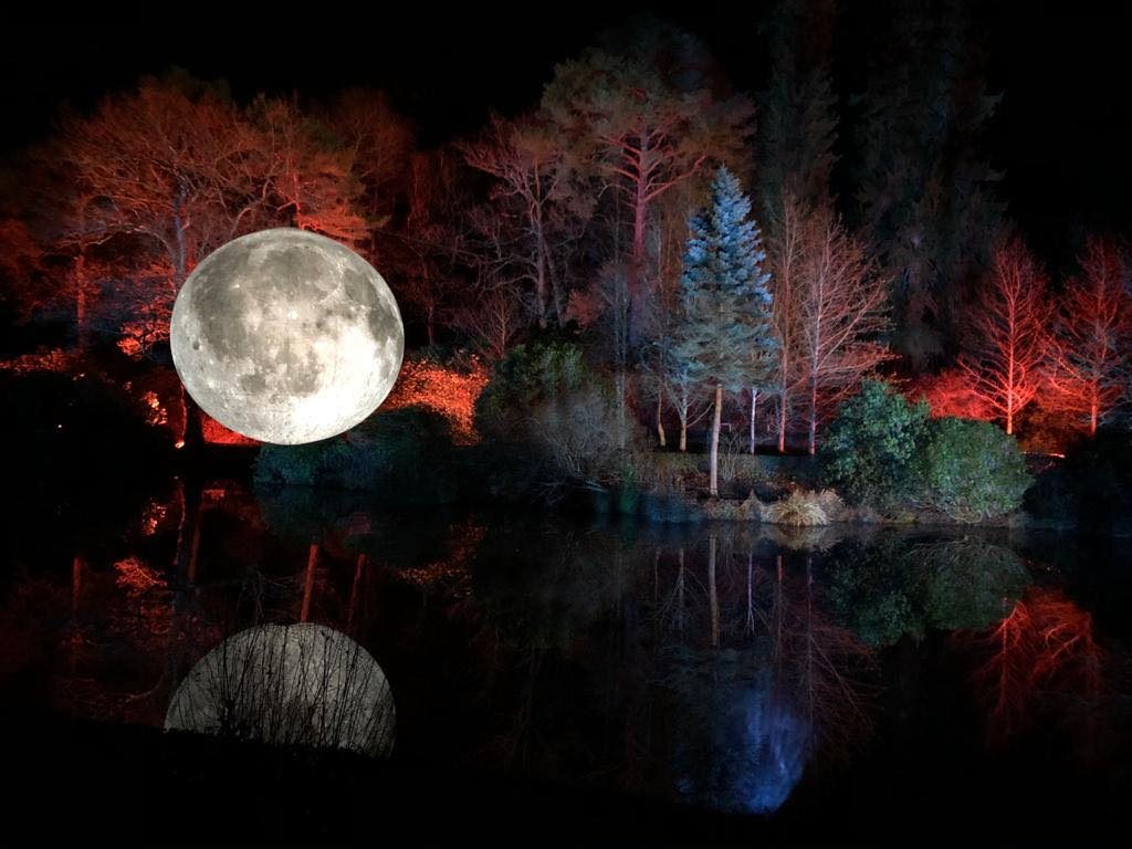 Best Christmas Lights 2021 Move Revolution