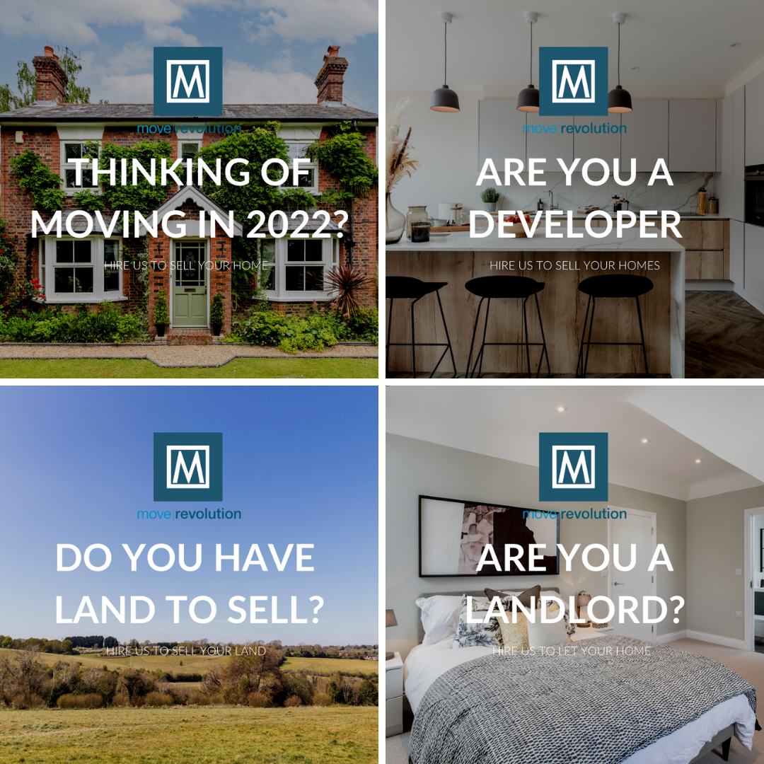 blog advert 2 - Move Revolution