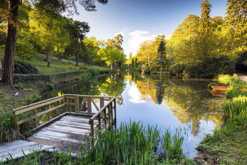 Sculpture Gardens In Sussex & Surrey